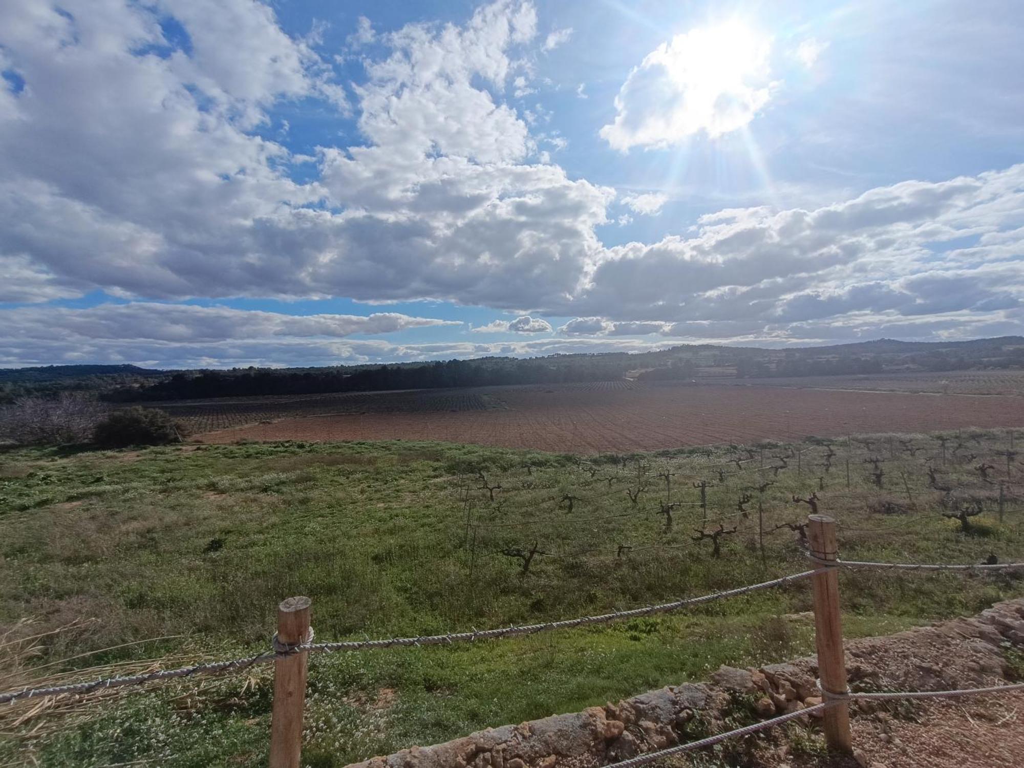 Casa Rural Alegria Caudete de las Fuentes Esterno foto